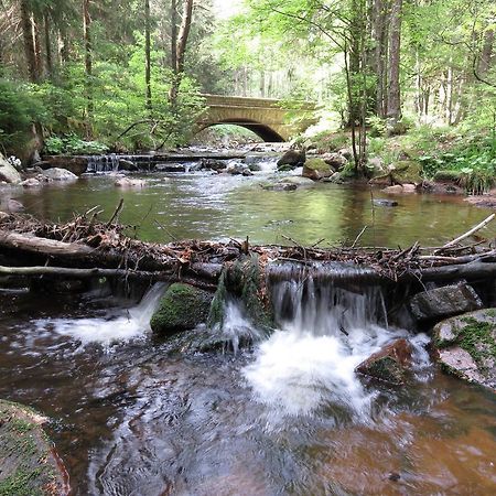 Fewo Kruse Am Wurmberg Браунлаге Экстерьер фото