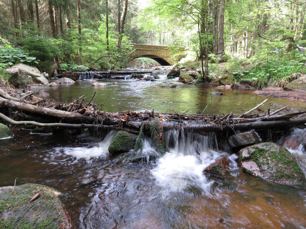 Fewo Kruse Am Wurmberg Браунлаге Экстерьер фото